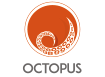 Octopus systems Ltd